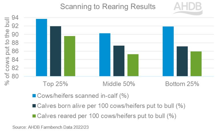 graph showing scanning to rearing results